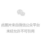 MySQL数据库查询优化技巧:从慢查询到闪电快
